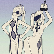 布一枚なびゃッこパス