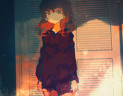 フェル29