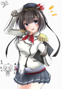 練習駆逐艦秋月です！