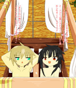 テリーズベッド