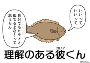 優しい魚