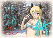 白い森のエイラ