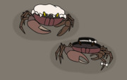秘封crab