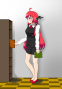 本棚整理のこあ