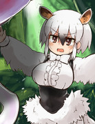 ミナミコアリクイちゃんかわいい