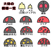 ハウスのナミテントウさん