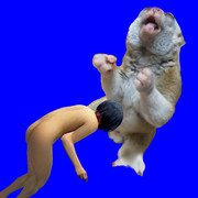 昇天するスローロリス☆