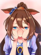 エルコンドルパサー