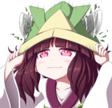 兜が上手に折れたきりたん