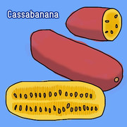 Cassabanana