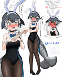 イッカクうさぎ