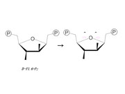 オワタ式構造式