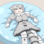 マヌルネコちゃん