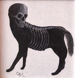 野良犬