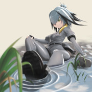 久々にハシビロ