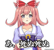 尊い画像で尊死するとき用のアグネスデジタル