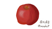 初めてのデジタルイラストで『りんご』を描いてみた！
