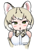 メガネ外されるマーゲイ