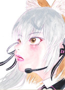 シマハイイロギツネ