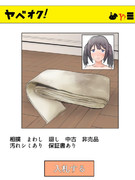相撲廻し（中古）