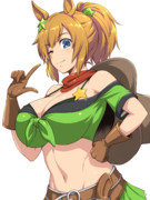 タイキシャトル