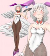 シラサギウサギ