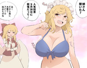 第17回東方人気投票 (9月26日～10月2日)