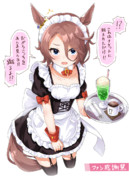 チケゾーにハメられるナリタタイシン