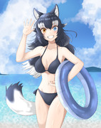 海とタイリクオオカミさん