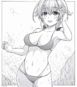 ザッパーン迅鯨