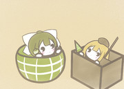 もらったみたいです