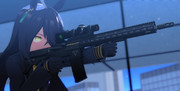 マンハッタンカフェ×AR-15