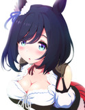 エイシンフラッシュをフラッシュしてみた