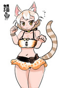 ネコ水着イエネコ
