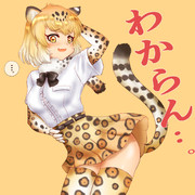 わからん・・。