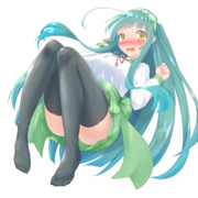 ずんちゃんふともも堪能セット