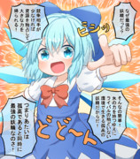 自称孤高の妖精チルノちゃん