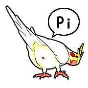 ボコボコインコの挨拶！Pi