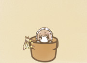 ホタルブクロ