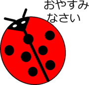 てんとう虫:おやすみ