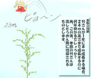 算数の問題。次の問いに答えよ。 その1463