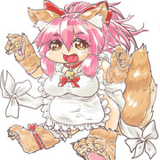 たまもきゃっっつ
