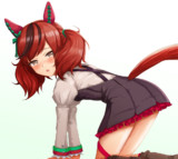 ナイスネイチャ