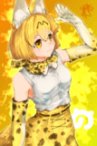 サーバルキャッッッツ