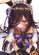 欲しくなっちゃったライス
