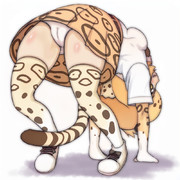 こうかブリッジ？ぜんぜんわからん！