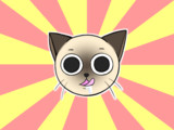 アイコン用の猫
