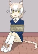 囚われのイエネコちゃん