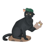 ねこかこい