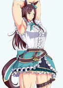 メジロドーベル